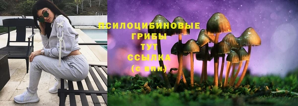 герыч Алексеевка