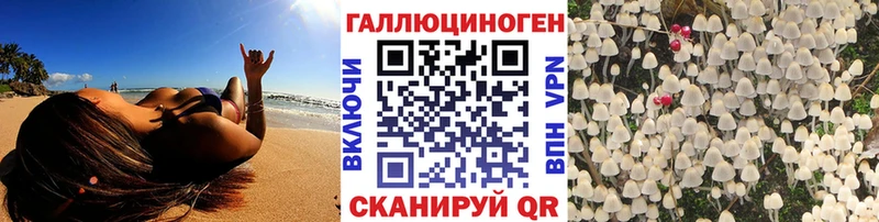 Галлюциногенные грибы Cubensis  Бирск 